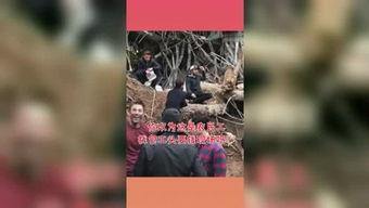 吃瓜星球怎么给别人看视频