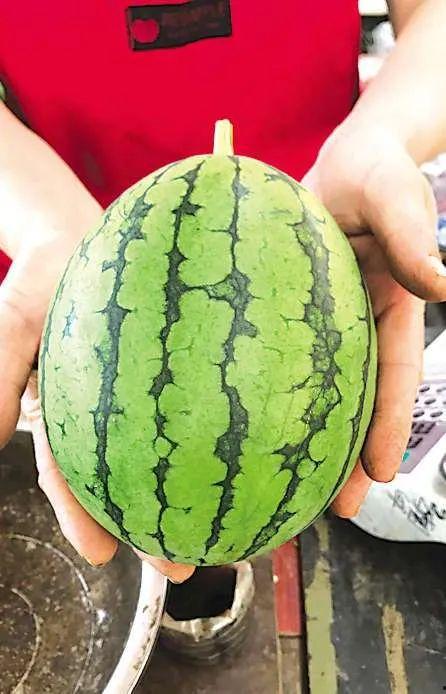 青岛西城吃瓜视频,揭秘街头美食背后的故事