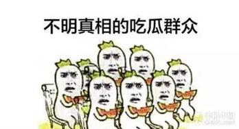 十一号吃瓜群众视频,揭秘热门视频背后的故事