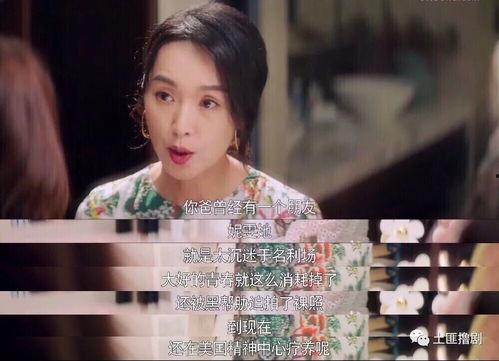 快乐吃瓜看剧解说视频在线观看,畅享剧界盛宴——热门解说视频在线观看指南