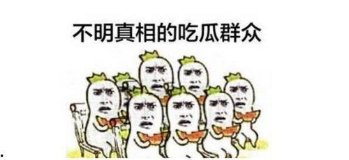 吃瓜群众来了视频,揭秘热门视频背后的故事与真相