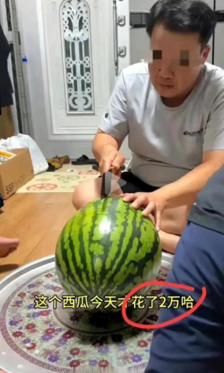吃瓜视频播放,揭秘网络娱乐的狂欢盛宴
