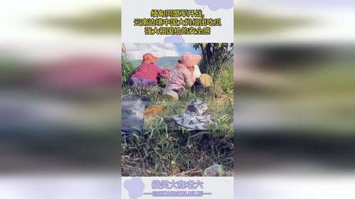 云南大妈吃瓜视频,揭秘民间美食文化魅力