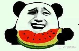 吃瓜群众仰望风景视频,吃瓜群众眼中的世界一角