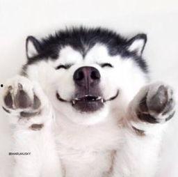 无语吃瓜群众视频大全,无语吃瓜群众视频大全，笑料百出，揭秘网络热点背后的故事