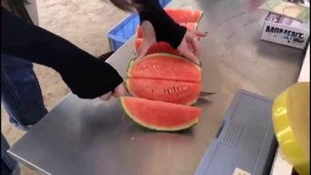 吃瓜网友大集合视频,揭秘网络热议背后的故事