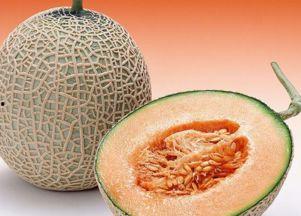 猫怎么吃哈密瓜最好吃视频,猫咪最爱吃哈密瓜的秘诀大公开