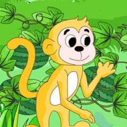 猴吃瓜文案视频素材,猴吃瓜视频素材趣味盘点