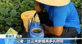 买别人吃瓜视频犯法吗