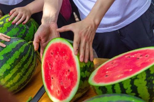 华商大学吃瓜视频,揭秘校园生活趣味瞬间