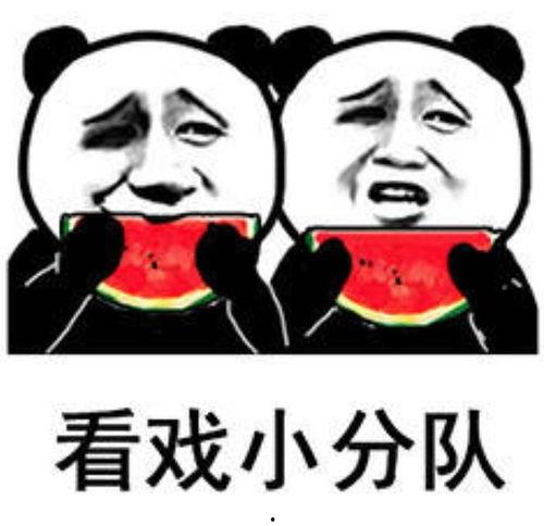 表情包视频吃瓜图片