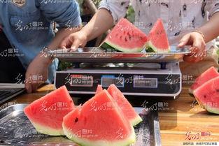 聊城吃瓜事件视频最新,一场网络舆论的风暴与反思