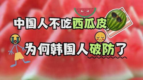 韩国看中国人吃瓜视频,韩国视角下的中国“吃瓜”文化现象解析