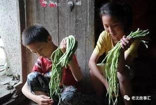 越南姐弟吃瓜视频网站在线观看,揭秘神秘吃瓜网站在线观看热潮