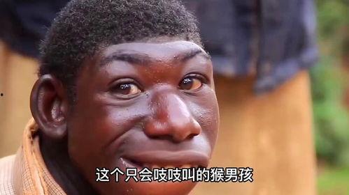 吃瓜返祖现场直播视频大全,揭秘古风美食的魅力瞬间