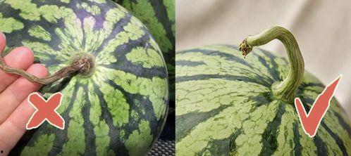 香港最近吃瓜视频,揭秘娱乐圈幕后风云