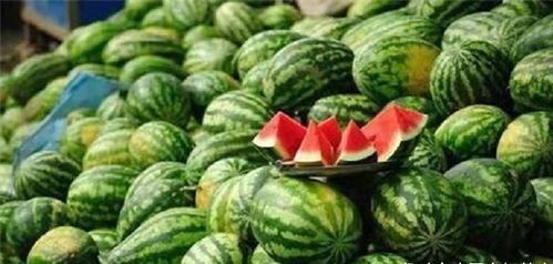 九言吃瓜视频,揭秘娱乐圈幕后故事，带你领略明星真实一面