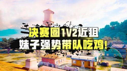 呆瓜二人吃鸡视频,爆笑瞬间尽在掌握