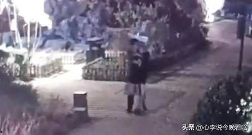 莱芜最近吃瓜事件视频播放,视频走红网络，真相揭秘引热议