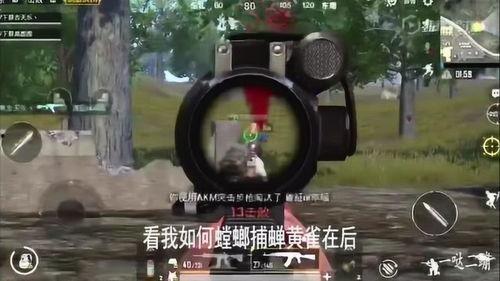 呆瓜吃鸡视频在哪看